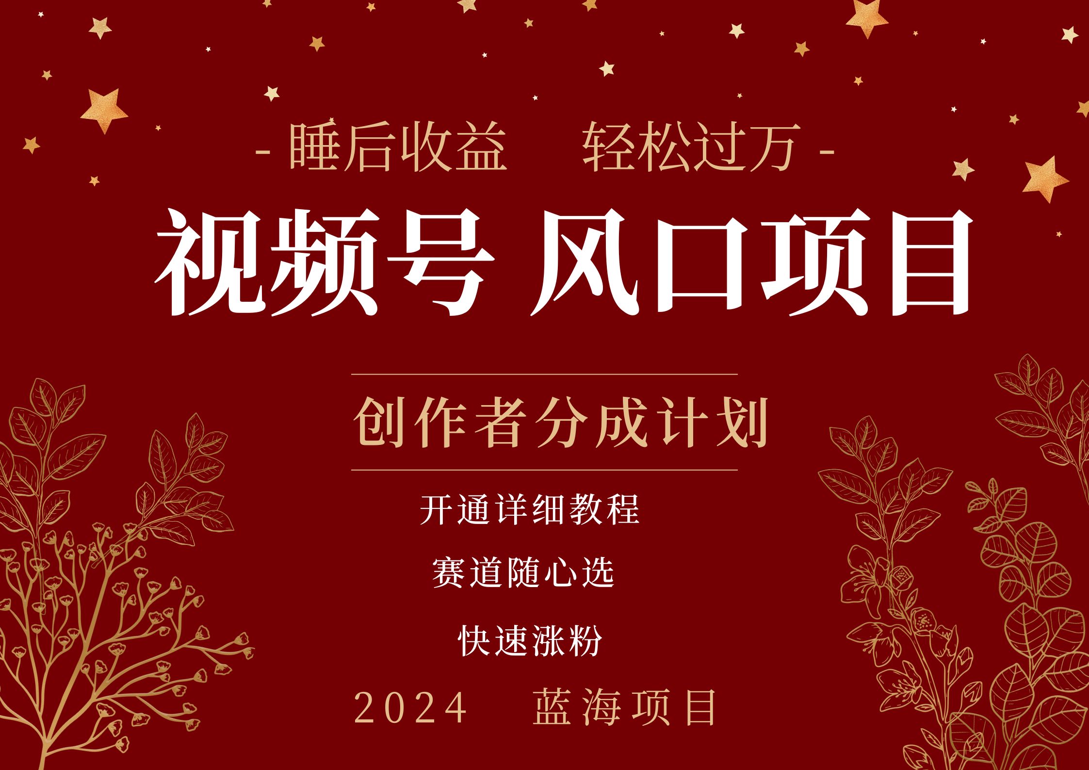 拥有睡眠收益的微信视频号大风口项目，轻松月入过万+，多赛道选择，可矩阵，玩法简单轻松上手-繁星副业