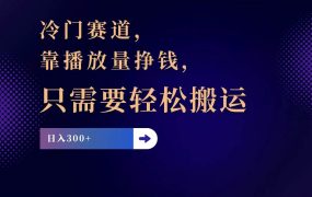 冷门赛道，靠播放量挣钱，只需要轻松搬运，日赚300+-繁星副业