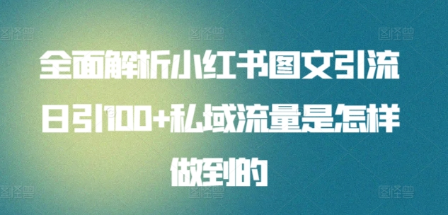 日引流100私域流量小红书图文是怎样做到的全面解析-繁星副业