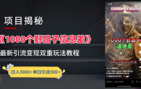 抖音一千个野路子信息差最新玩法教程-变现＋引流的玩法具体拆解-繁星副业