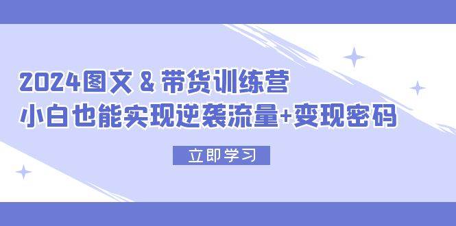 2024 图文+带货训练营，小白也能实现逆袭流量+变现密码-繁星副业