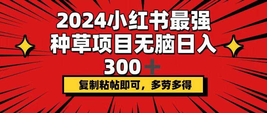 2024小红书最强种草项目，无脑日入300+，复制粘帖即可，多劳多得-繁星副业