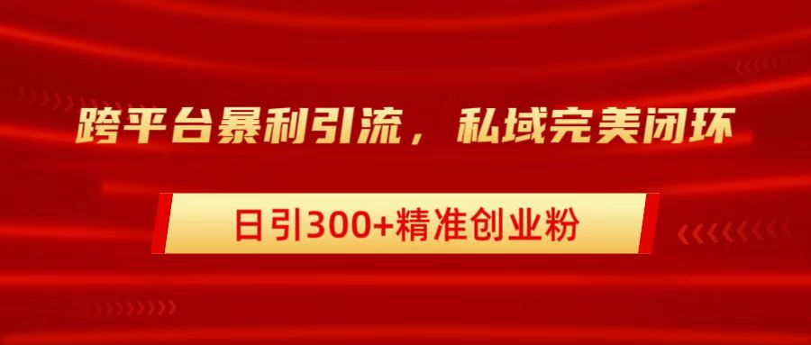 跨平台暴力引流，私域完美闭环，日引300+精准创业粉-繁星副业