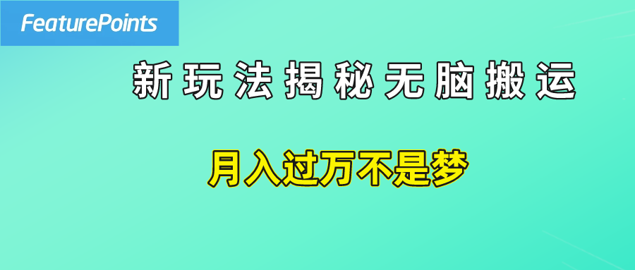 简单操作，每天50美元收入，搬运就是赚钱的秘诀！-繁星副业