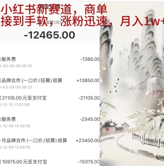 小红书新赛道，商单接到手软，涨粉迅速，一个月1w+-繁星副业