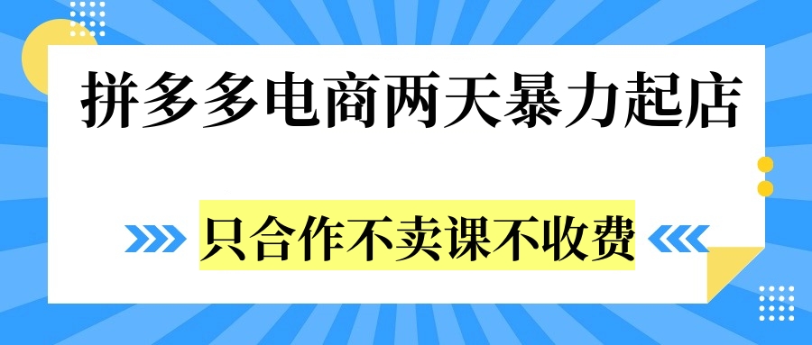 拼多多两天暴力起店，只合作不卖课不收费-繁星副业