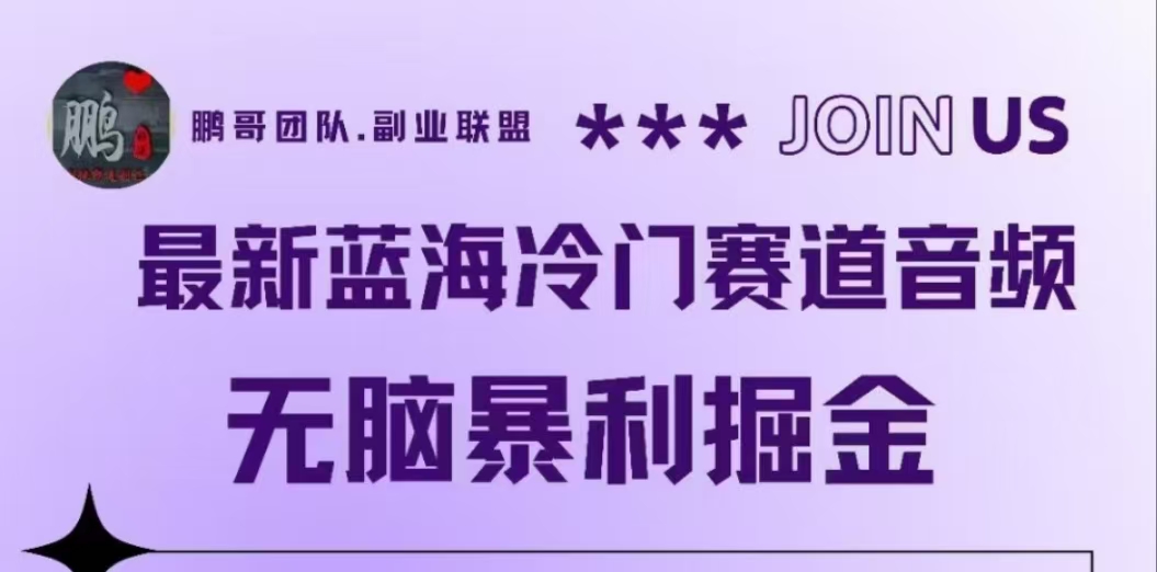 最新蓝海冷门赛道音频，无脑暴利掘金-繁星副业