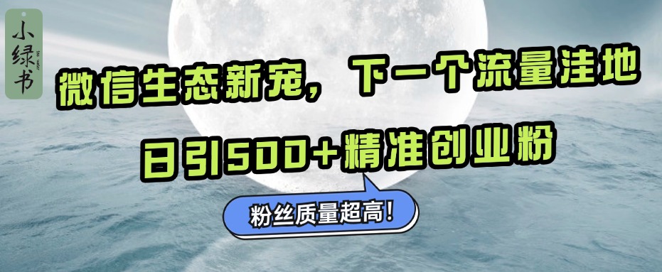 微信生态新宠小绿书：下一个流量洼地，粉丝质量超高，日引500+精准创业粉，-繁星副业
