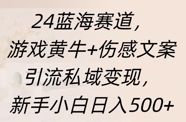 24蓝海赛道，游戏黄牛+伤感文案引流私域变现，新手日入500+-繁星副业