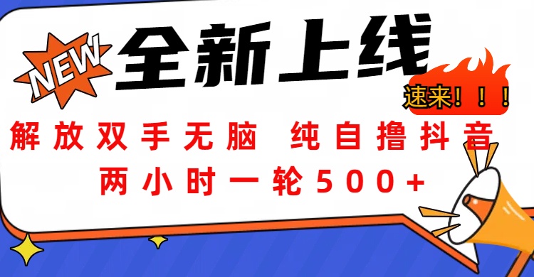 解放双手无脑 纯自撸抖音 两小时一轮500+-繁星副业