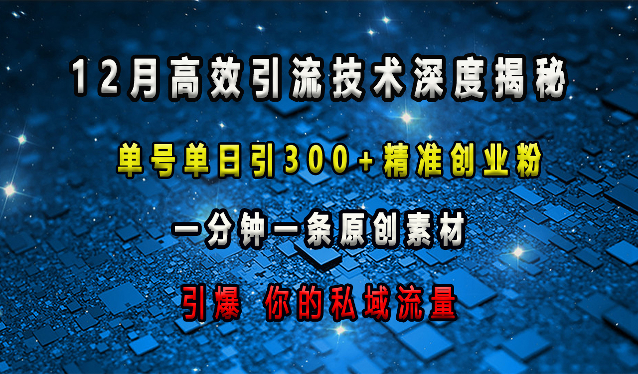 12月高效引流技术深度揭秘 ，单号单日引300+精准创业粉，一分钟一条原创素材，引爆你的私域流量-繁星副业
