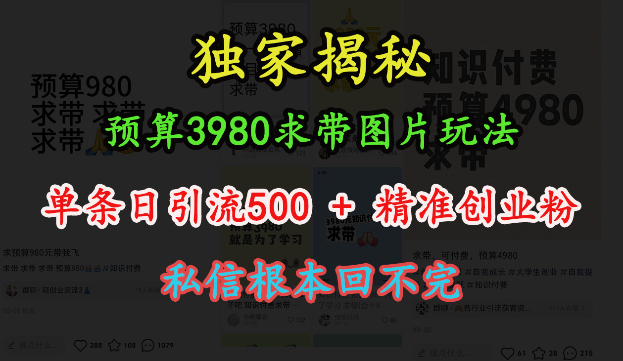 “小红书”预算3980求带 图片玩法，单条日引流500+精准创业粉，私信根本回不完-繁星副业