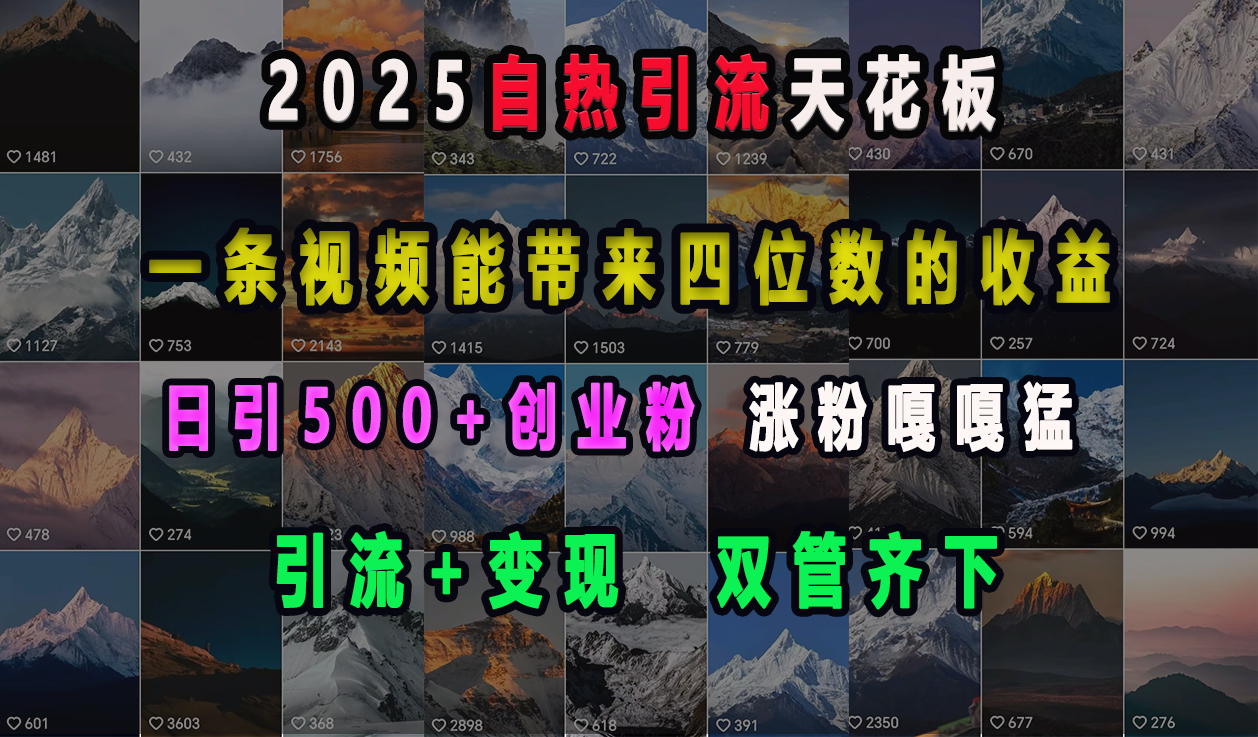 2025自热引流天花板，一条视频能带来四位数的收益，引流+变现双管齐下，日引500+创业粉，涨粉嘎嘎猛-繁星副业