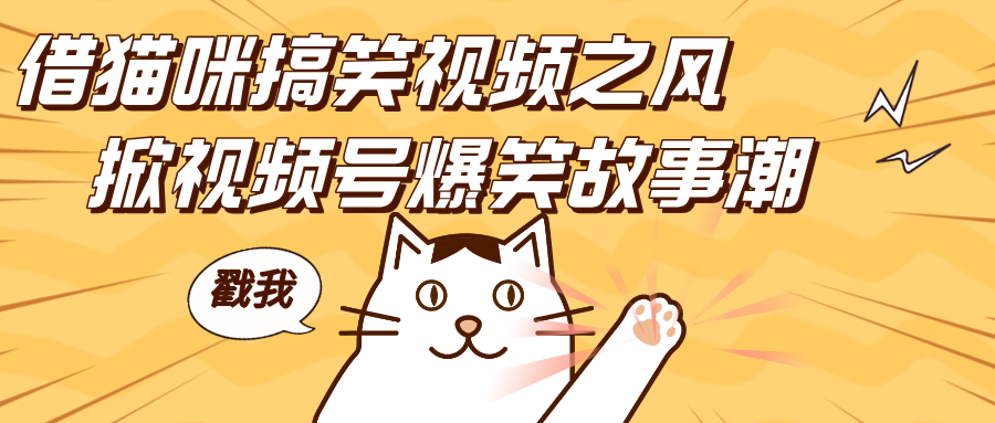 借猫咪搞笑视频之风，掀视频号爆笑故事潮，轻松日赚四位数，开启无门槛赚钱新体验！-繁星副业