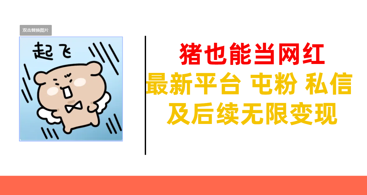 猪也能当网红-最新平台 屯粉 交流 私信 及后续无限变现-繁星副业