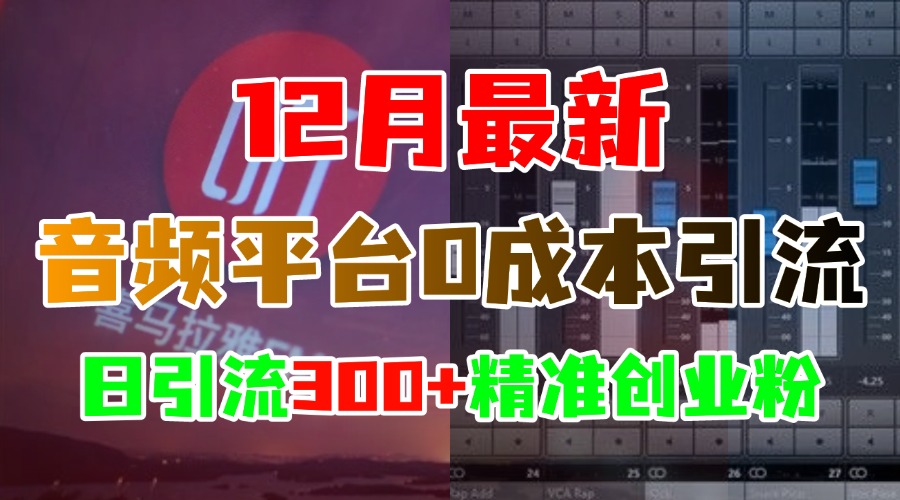 12月最新：音频平台0成本引流，日引300+精准创业粉-繁星副业