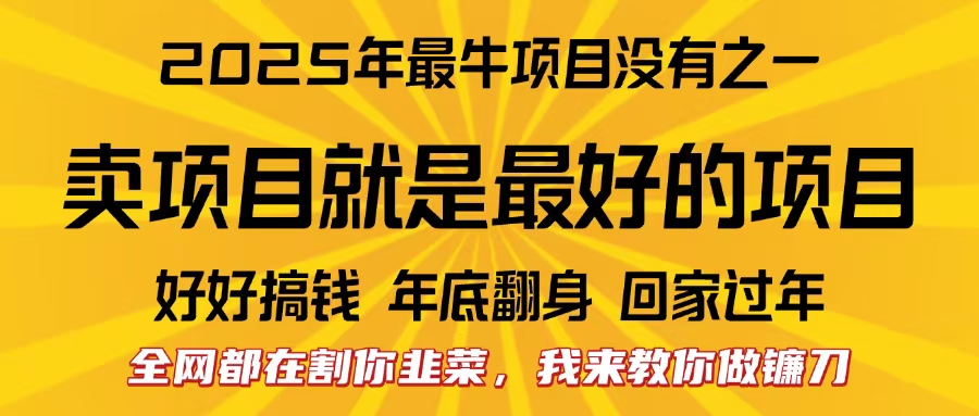 全网都在割你韭菜，我来教你做镰刀。卖项目就是最好的项目，2025年最牛互联网项目-繁星副业