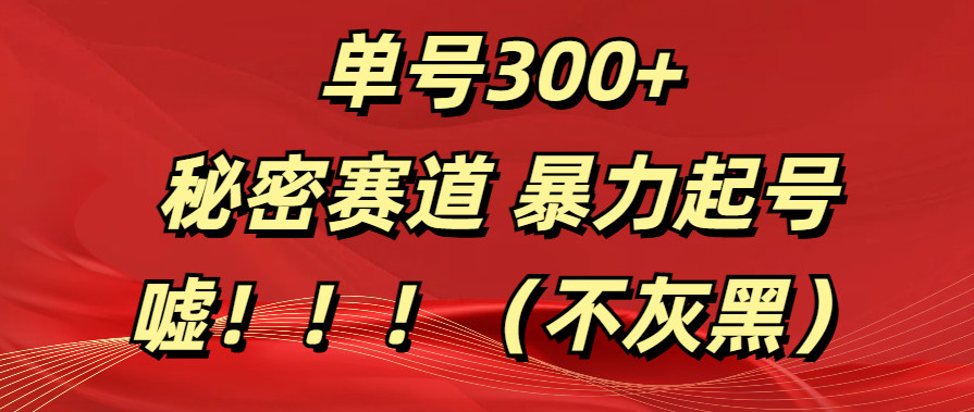 单号300+  秘密赛道 暴力起号  （不灰黑）-繁星副业