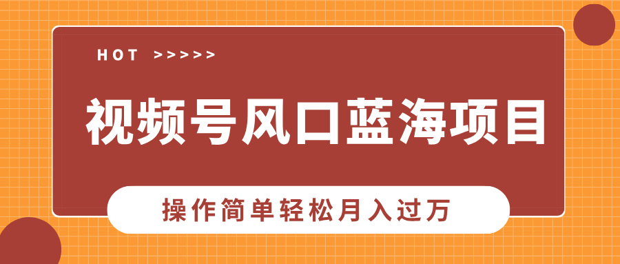 视频号风口蓝海项目，中老年人的流量密码，操作简单轻松月入过万-繁星副业