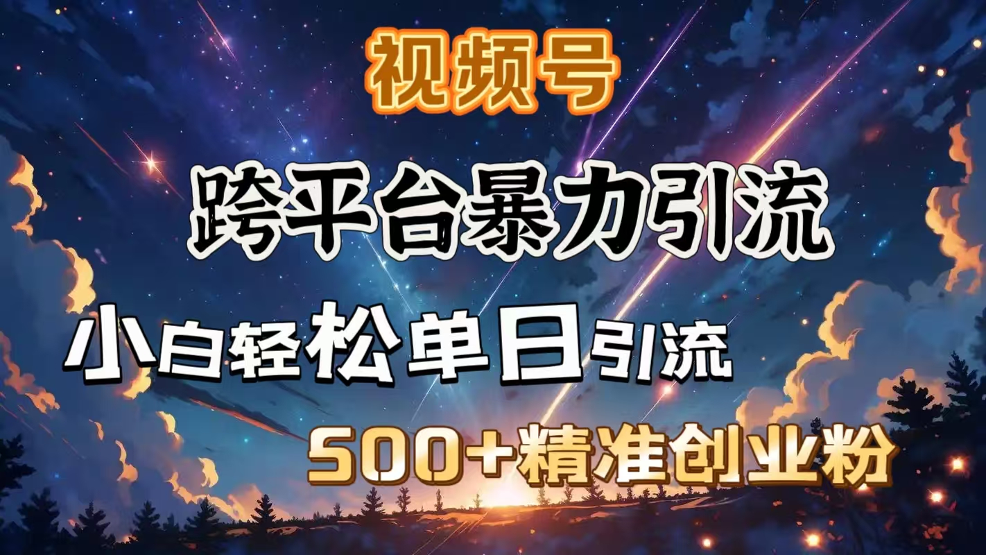 视频号跨平台暴力引流，小白轻松单日引流500＋精准创业粉-繁星副业