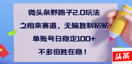 全网首发微头条野路子2.0玩法之相亲赛道，无脑搬砖复制粘贴，单账号日稳定300+保姆级教程-繁星副业