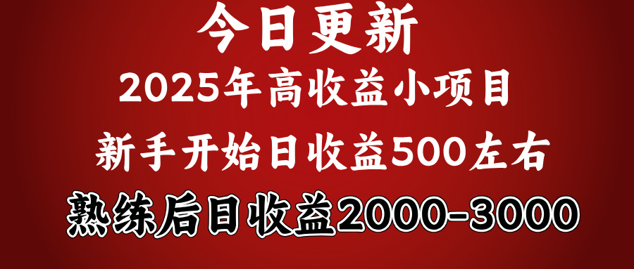 好项目一眼就能看出来，日收益1000，长久可做，2025拼的就是我比你勤奋-繁星副业