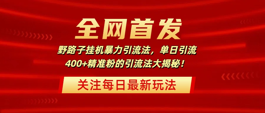 全网首发，野路子挂机暴力引流法，单日引流400+精准粉的引流法大揭秘！-繁星副业