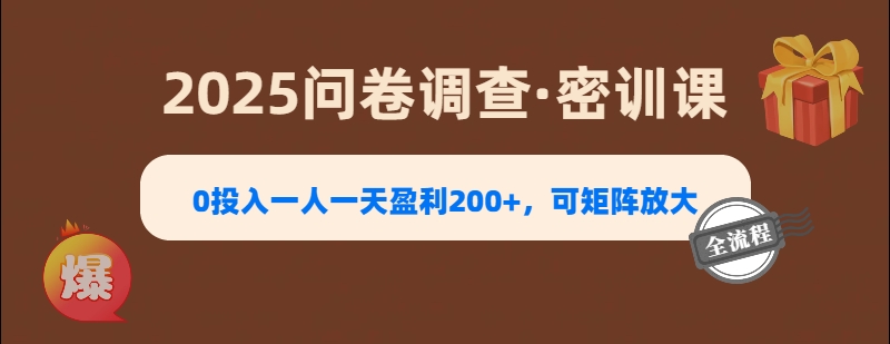 2025《问卷调查》0投入一人一天盈利200+，可矩阵放大-繁星副业