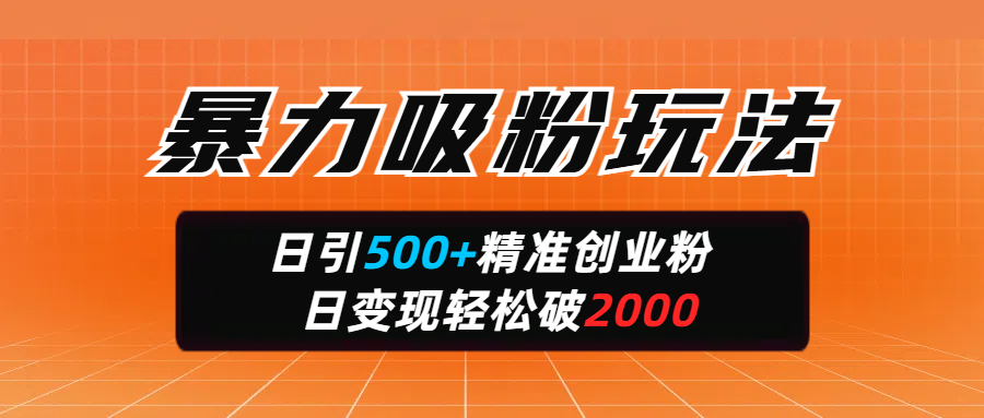 暴力吸粉玩法，日引500+精准创业粉，日变现轻松破2000-繁星副业