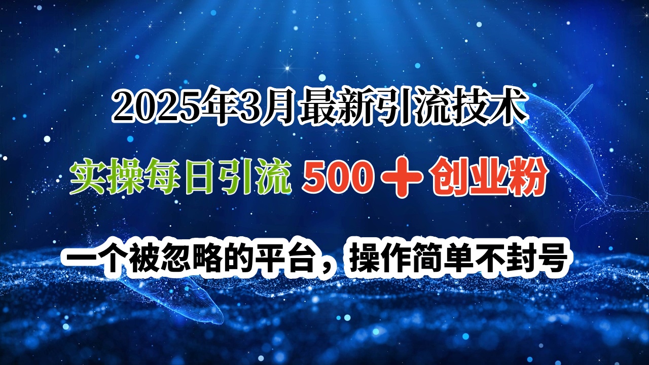 2025年3月最新引流技术，实操每日引流500➕创业粉，一个被忽略的平台，操作简单不封号-繁星副业