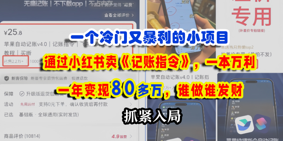 一个冷门又暴利的小项目，通过小红书卖《记账指令》，一本万利，一年变现80多万，谁做谁发财-繁星副业