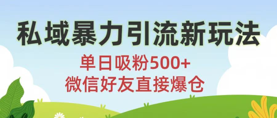 私域暴力引流新玩法!单日吸粉500+，微信好友直接爆仓-繁星副业