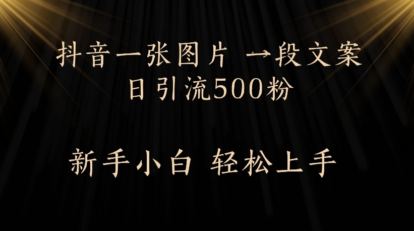 抖音一张图片，一段文案日引流500粉，新手小白 轻松上手-繁星副业