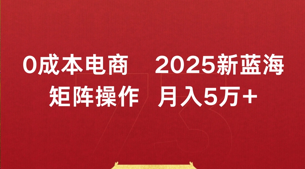 0成本电商2025新蓝海矩阵操作 月入5万+-繁星副业