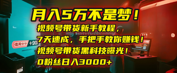 月入5万不是梦！视频号带货新手教程，7天速成，手把手教你赚钱！视频号带货黑科技曝光！0粉丝日入3000+-繁星副业