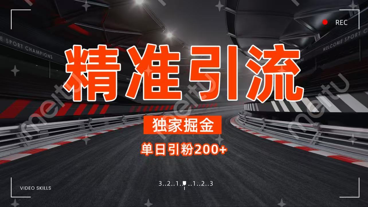 独家野路子精准引流 每日200+-繁星副业