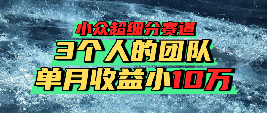 小众超细分赛道，一年百万利润的盘子！-繁星副业